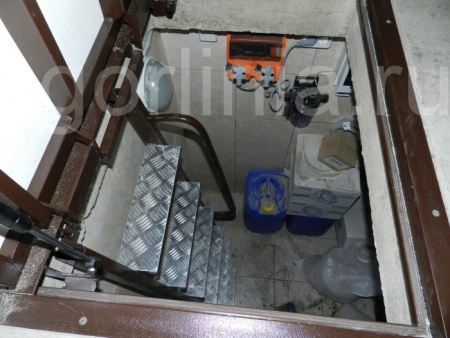 Дива 60+ фото производителя